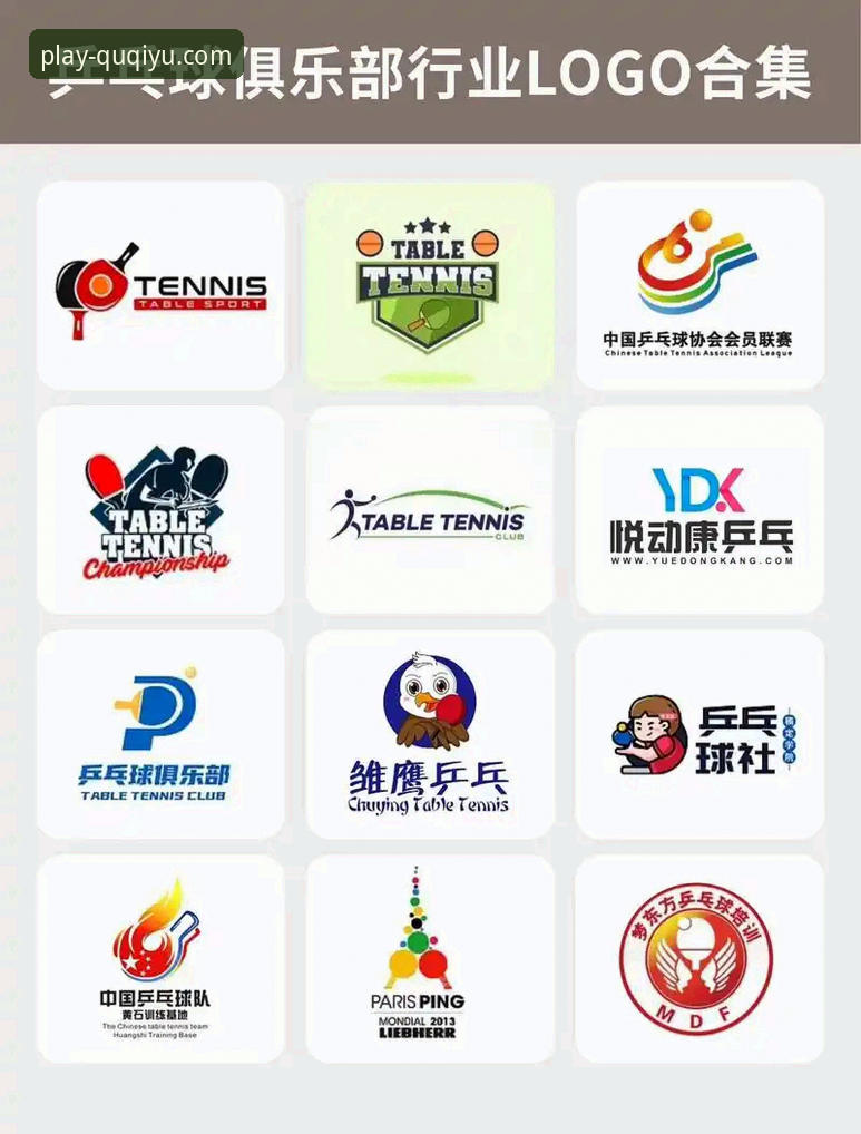 2026趣体育安装全流程深度分析：技术细节与用户体验全面解析